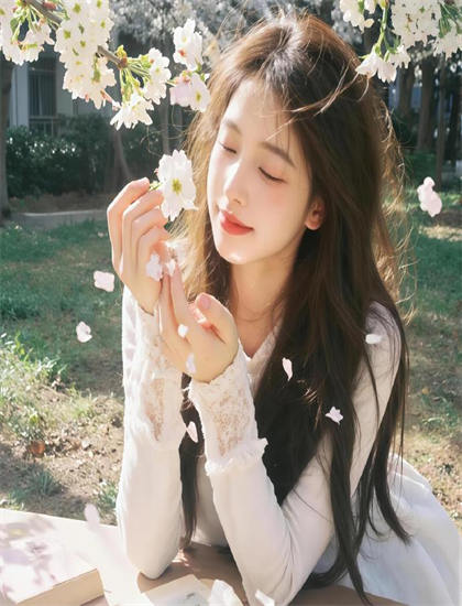 《朝雾的巫女》详细剧情解析教科书式的：从开场到结局的完整叙事分析，必看